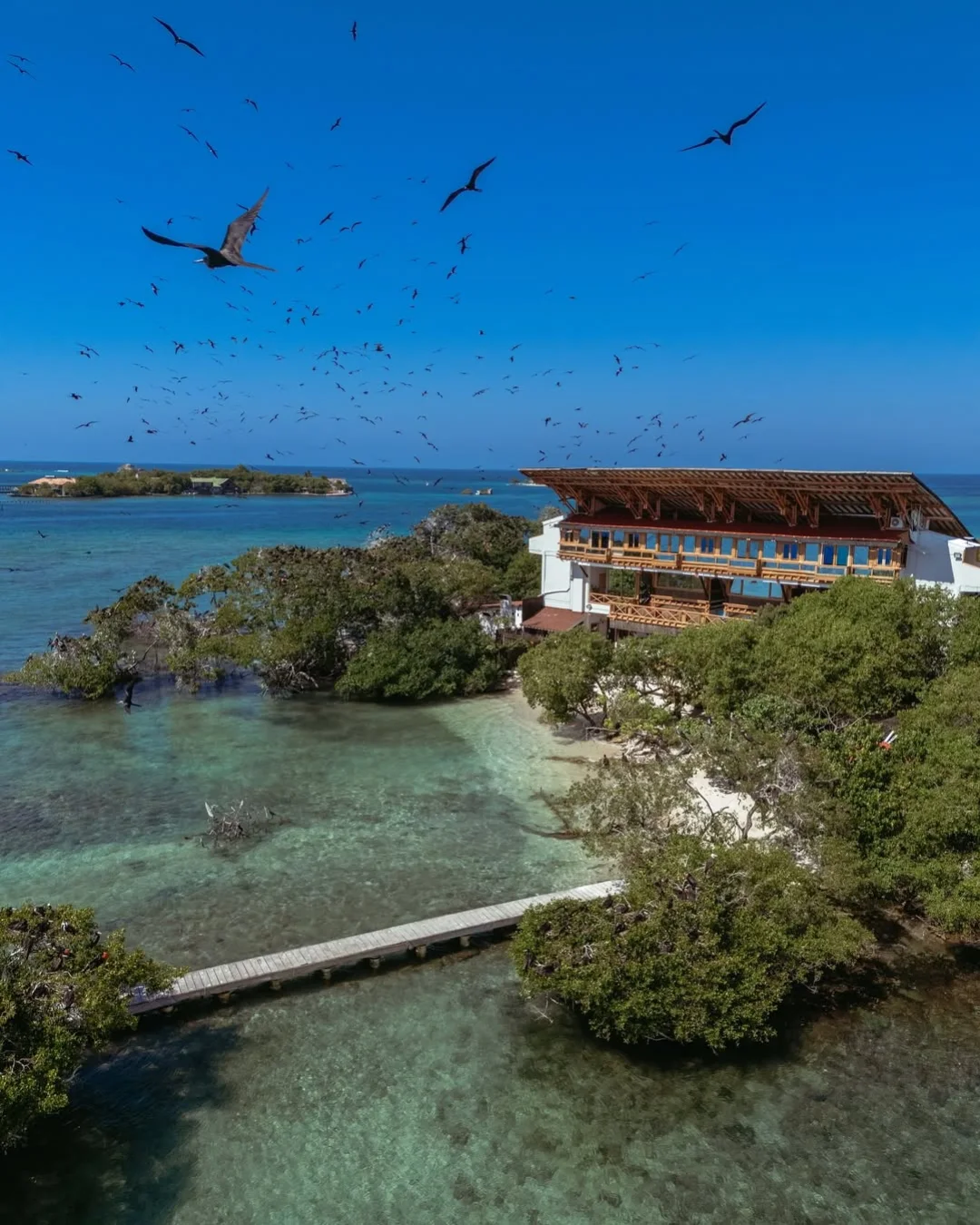 Publicación 4 de Paradizz Yachts